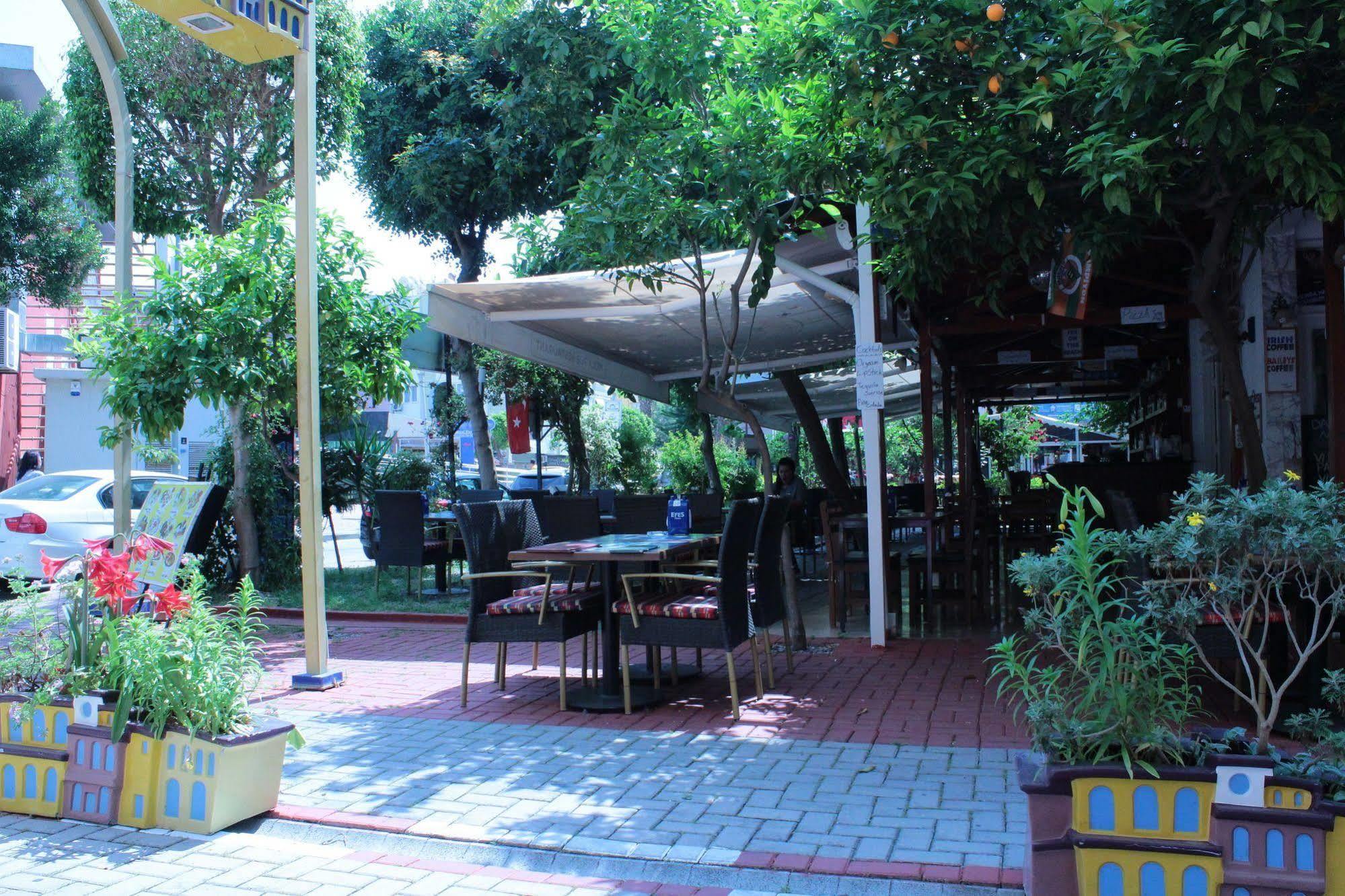 אלאניה Mola Hotel מראה חיצוני תמונה